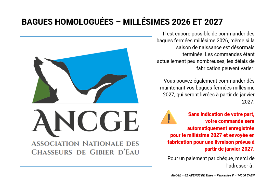 Les bagues
